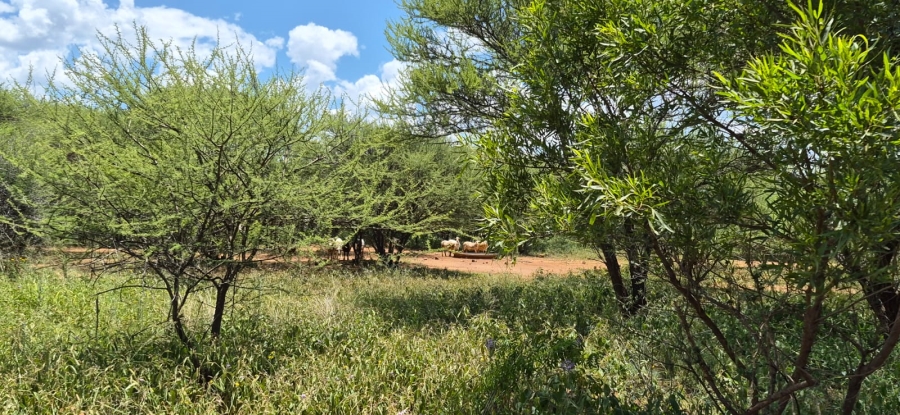 4 Bedroom Property for Sale in Zeerust North West